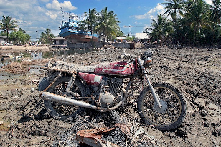 Tsunami aftermath